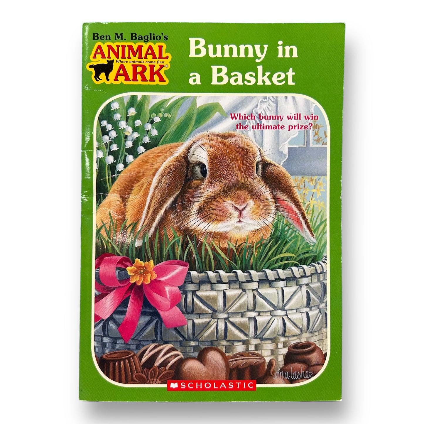Bunny in a Basket Chapter Book