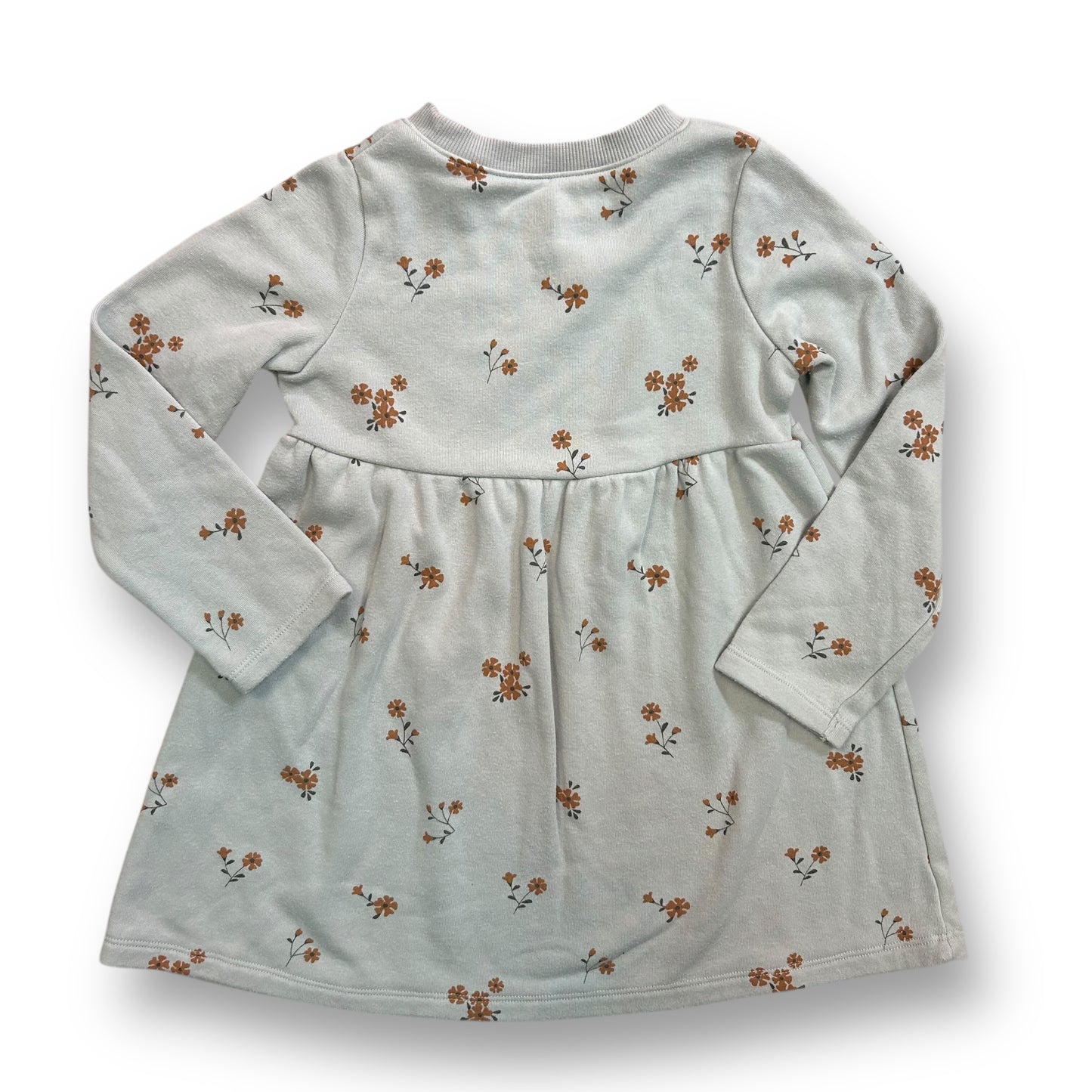 Lauren Conrad Girls Dress Size 4T Blue Fleece Lined Floral Print Long Sleeves