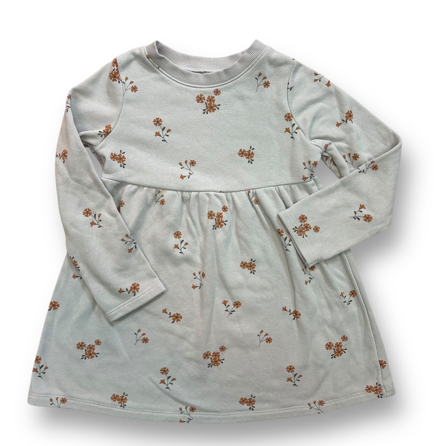 Lauren Conrad Girls Dress Size 4T Blue Fleece Lined Floral Print Long Sleeves