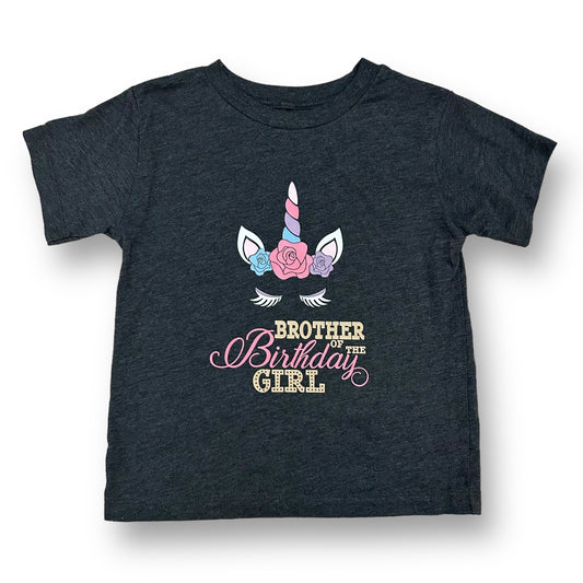 Boys Size 4/5 Brother of the Birthday Girl Short Sleeve Dark Gray Tee