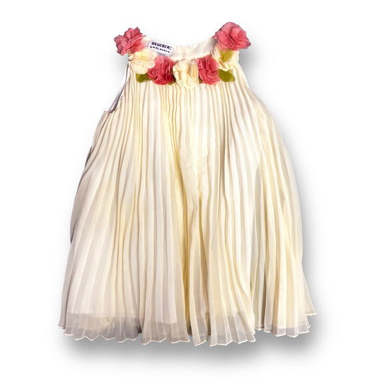 Toddler Girls Size 24 Months Flower Accented Sleeveless Formal Dress