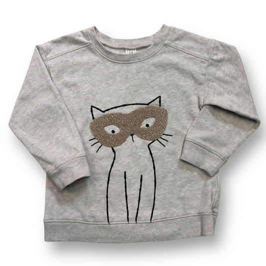 Gap Kids Girls Size 3 Fuzzy Gold Masked Kitty Light Beige Pullover Sweatshirt