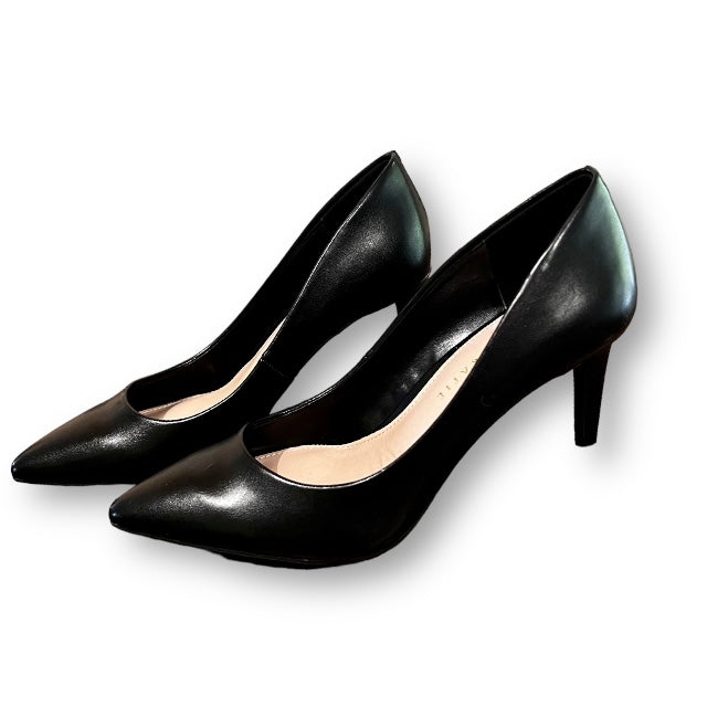 A pair of black, pointed-toe, slim-heeled dress shoes designed for women.