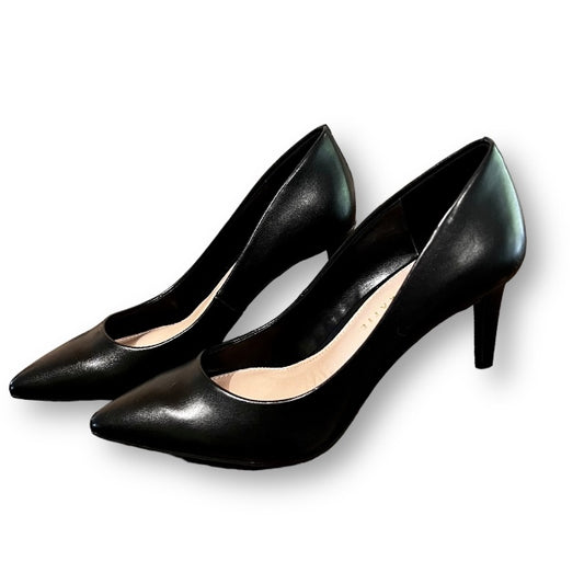 A pair of black, pointed-toe, slim-heeled dress shoes designed for women.