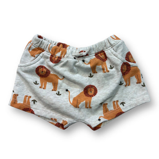 Old Navy Boys Size 12-18 Months Safari Lion Print Pull-On Cotton Shorts