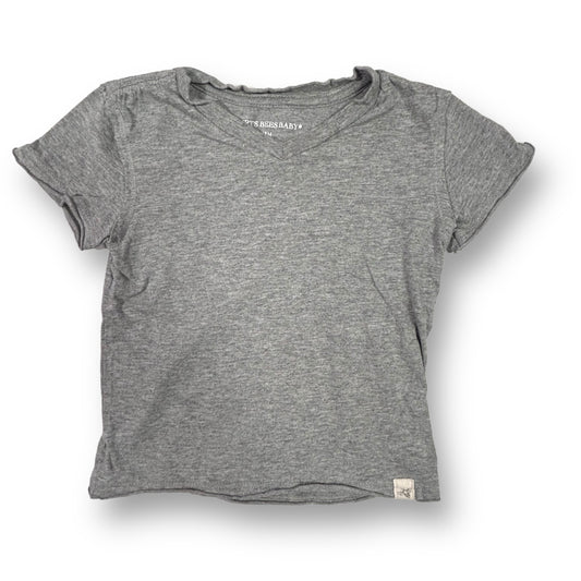 Burt's Bees Toddler Size 18 Months Gray Shirt Organic Cotton V-Neck Tee