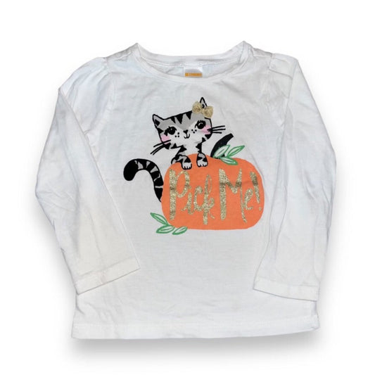 Gymboree Girls Size 3T White Long Sleeve Fall Kitty Cat Pick Me Pumpkin Shirt